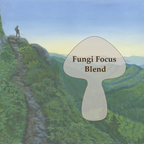 Fungi Focus Tincture
