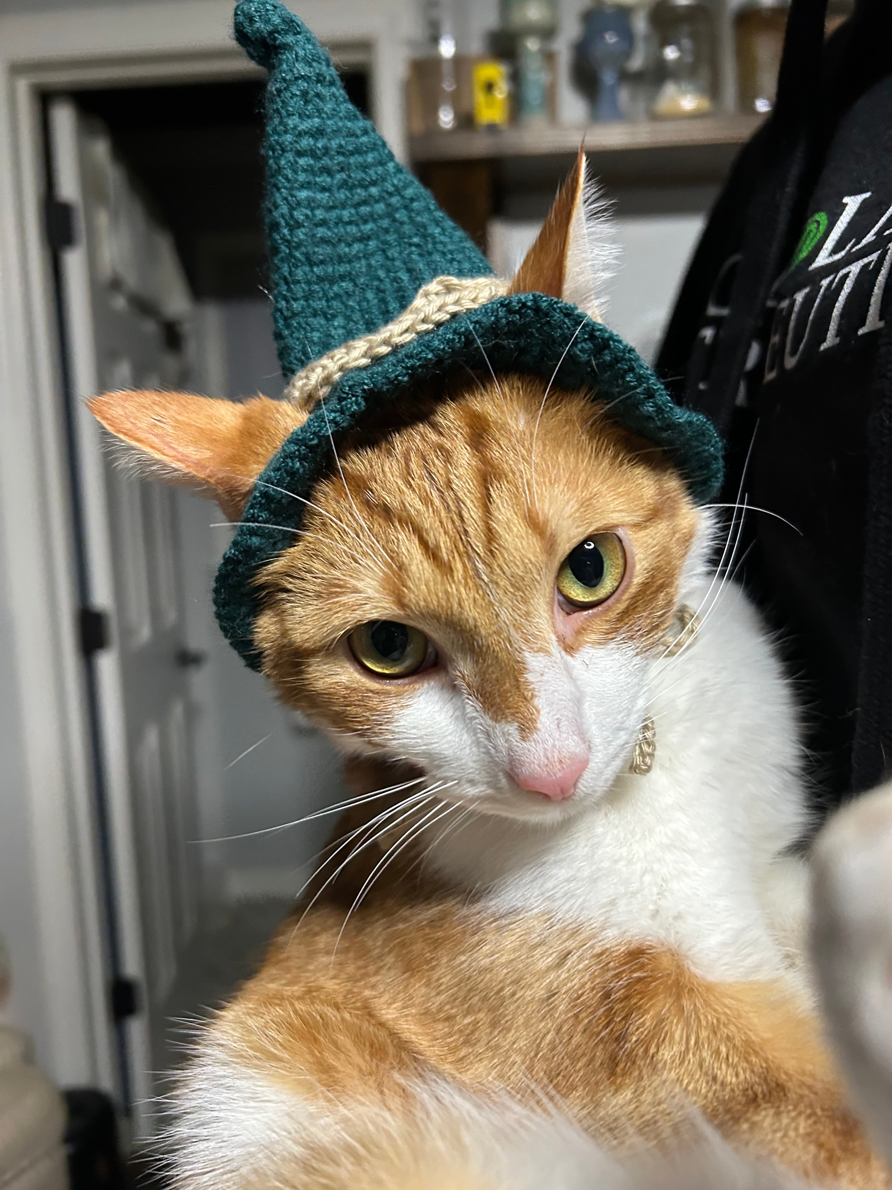 Full Spectrum CBD/CBG Pet Drops