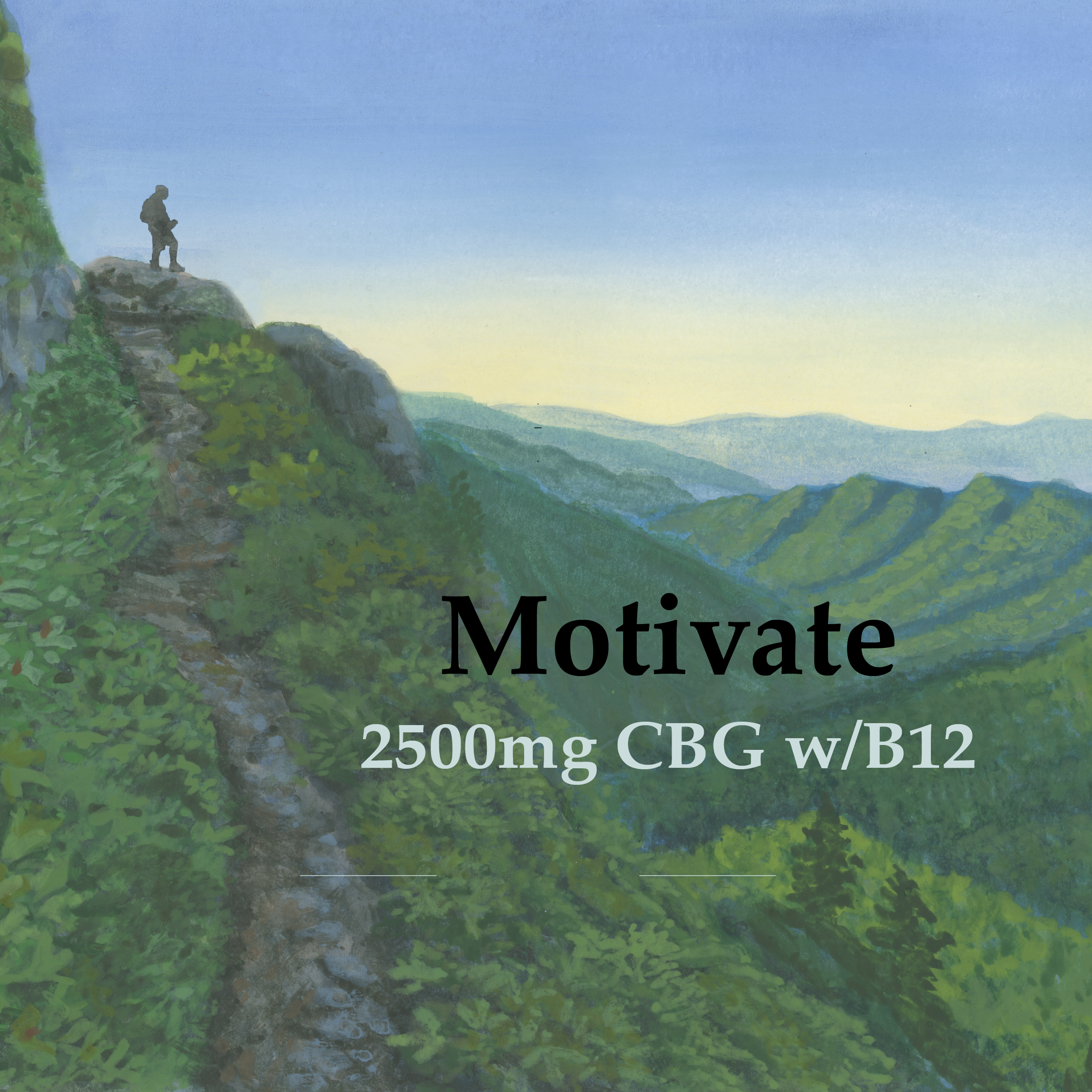 Motivate CBG Tincture