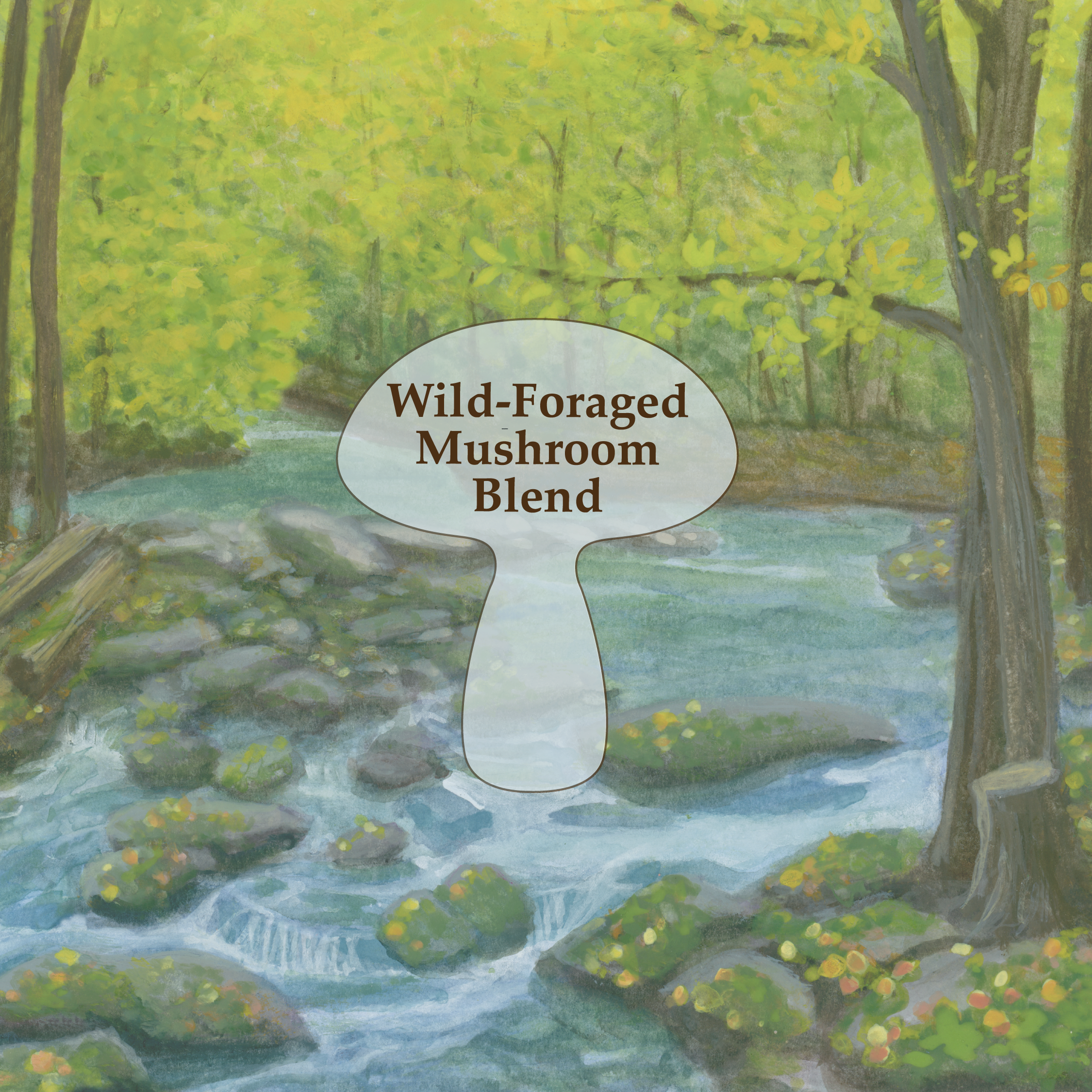 Wild Forage Mushroom Tincture Blend